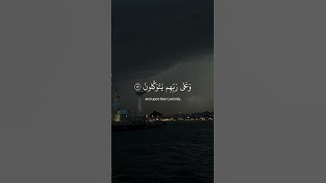القران الكريم #القرآن_الكريم #اكسبلور #تيك_توك #اكسبلور_explore #الرحمن #المصحف #لايك #explore