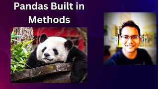 Mastering Pandas Built-in Functions: Level Up Your Data Analysis!