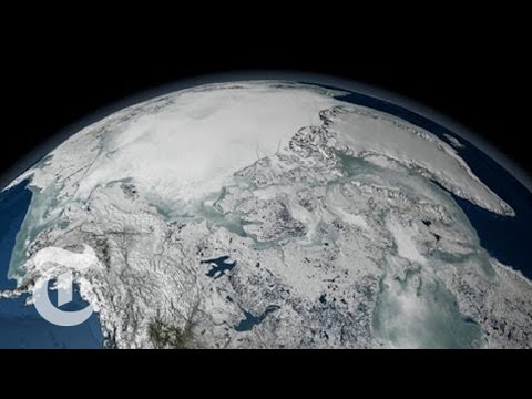 Video: Only Siberia Will Survive: Geneticists' Forecast For A Nuclear Winter - Alternative View