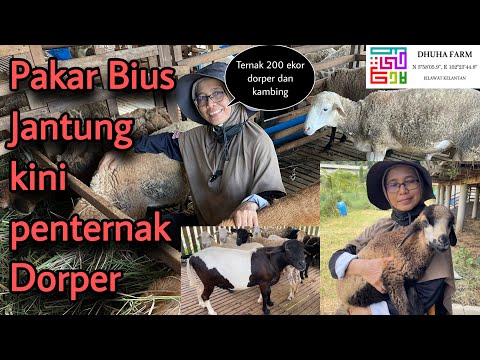 Video: Apakah itu ubat doper?