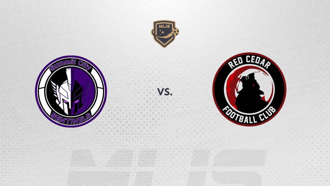 MLIS- Ft. Wayne at Lansing, 1/10/2026