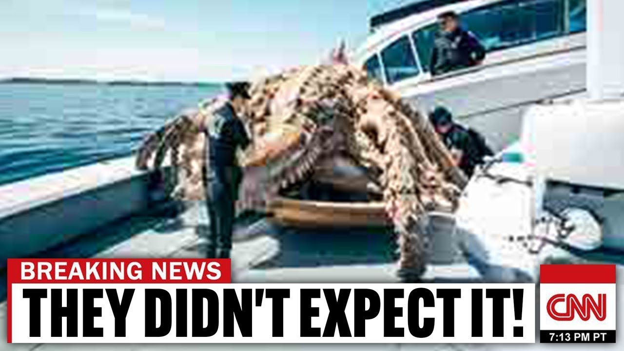 Deadliest Catch Crew Accidently Discoverd Illegal Government Activities Far From Shore!