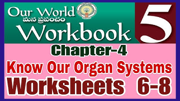 know our organ systems Worksheets with Answers 5th class EVs work book #class5  #5thclassevs