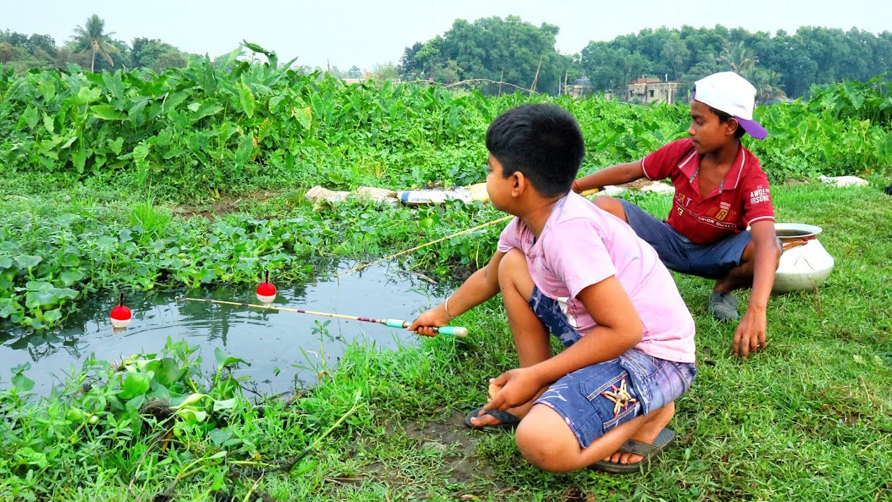 Fishing Video 🎣|| The boys always catches a lot of fish from the village canal | Best fishing trap 😱