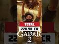 Gadar 2 Movie Collection | #sunnydeol #gadar2 #cinemareview #gadar2collection #15august #shortsviral