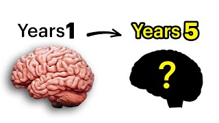 How Years Of Gaming Affects Your Brain