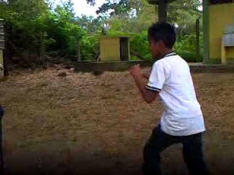 Albertina Video