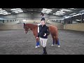 Riding Transitions - Dressage Training