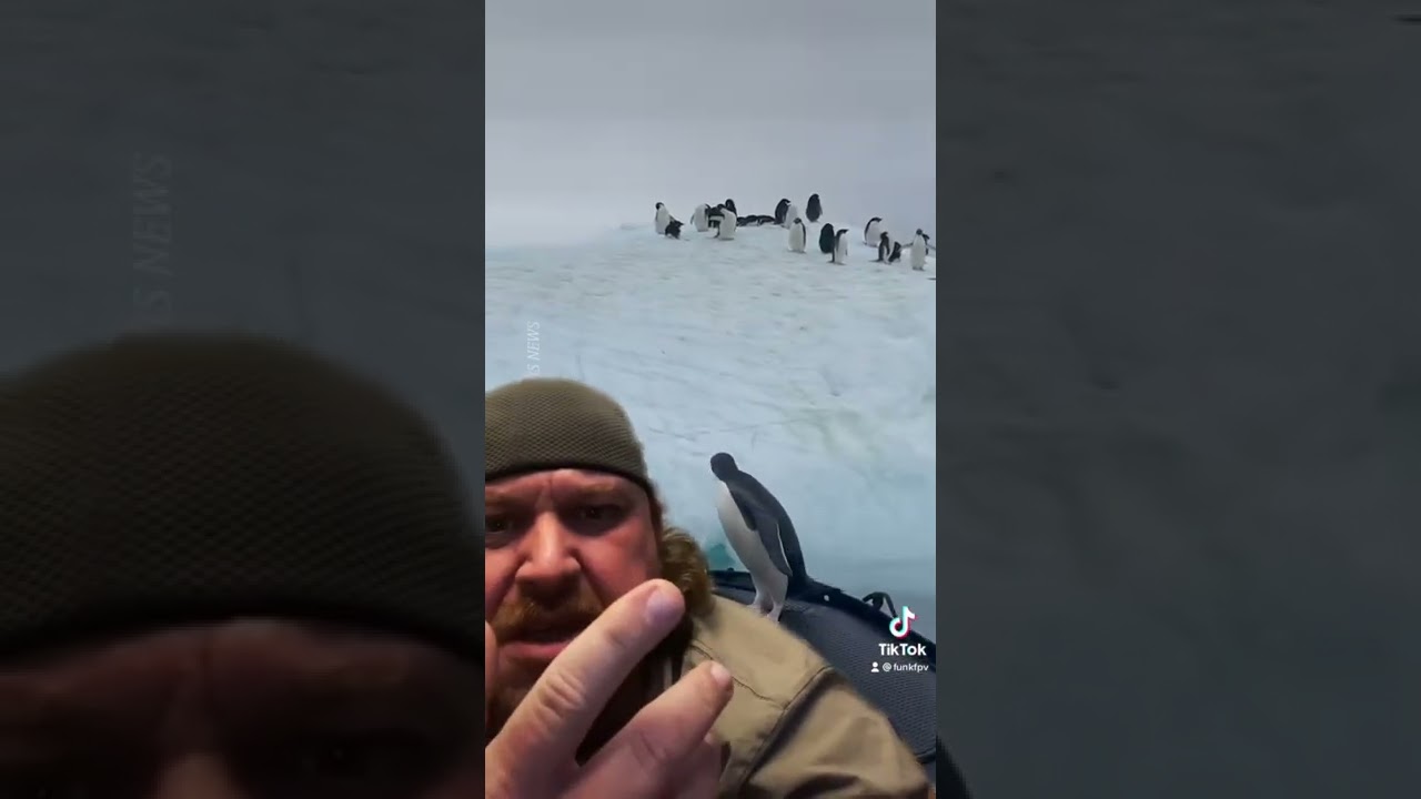 Wildlife Rescue Fail? ￼