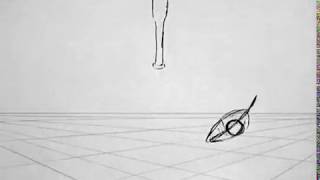 Gravity Studies