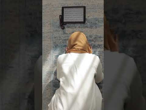 إلهي واسع الكرم يارب قرأن حالات 