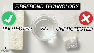 IGORA ROYAL HIGHLIFTS | How FIREBOND Technology Provides The Best Hair Protection | Schwarzkopf USA