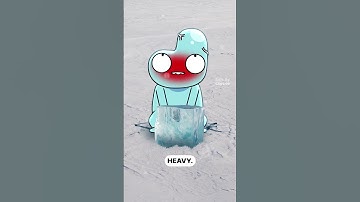 How do igloos stay warm??