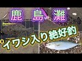 連日絶好釣の鹿島灘❗ヒラメ安定釣果❗