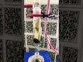 Soxhlet and Clevenger Extraction #biologybyimtiyaz #extraction #biology #viralshorts
