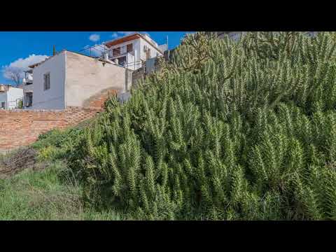 Venta de Terreno