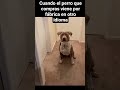 Dame la mainou #viralshorts #humor #funny