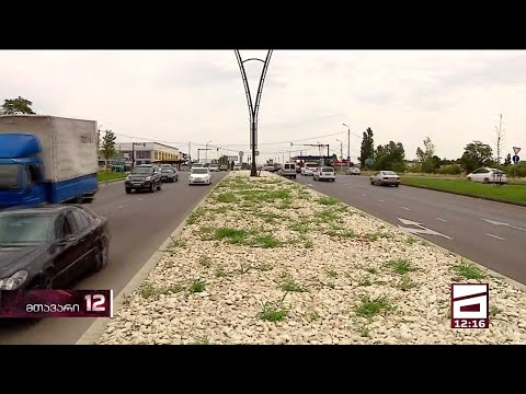 3 მილიონიანი თეთრი ქვები - კახეთის გზატკეცილზე სარეველა ბალახი ამოვიდა