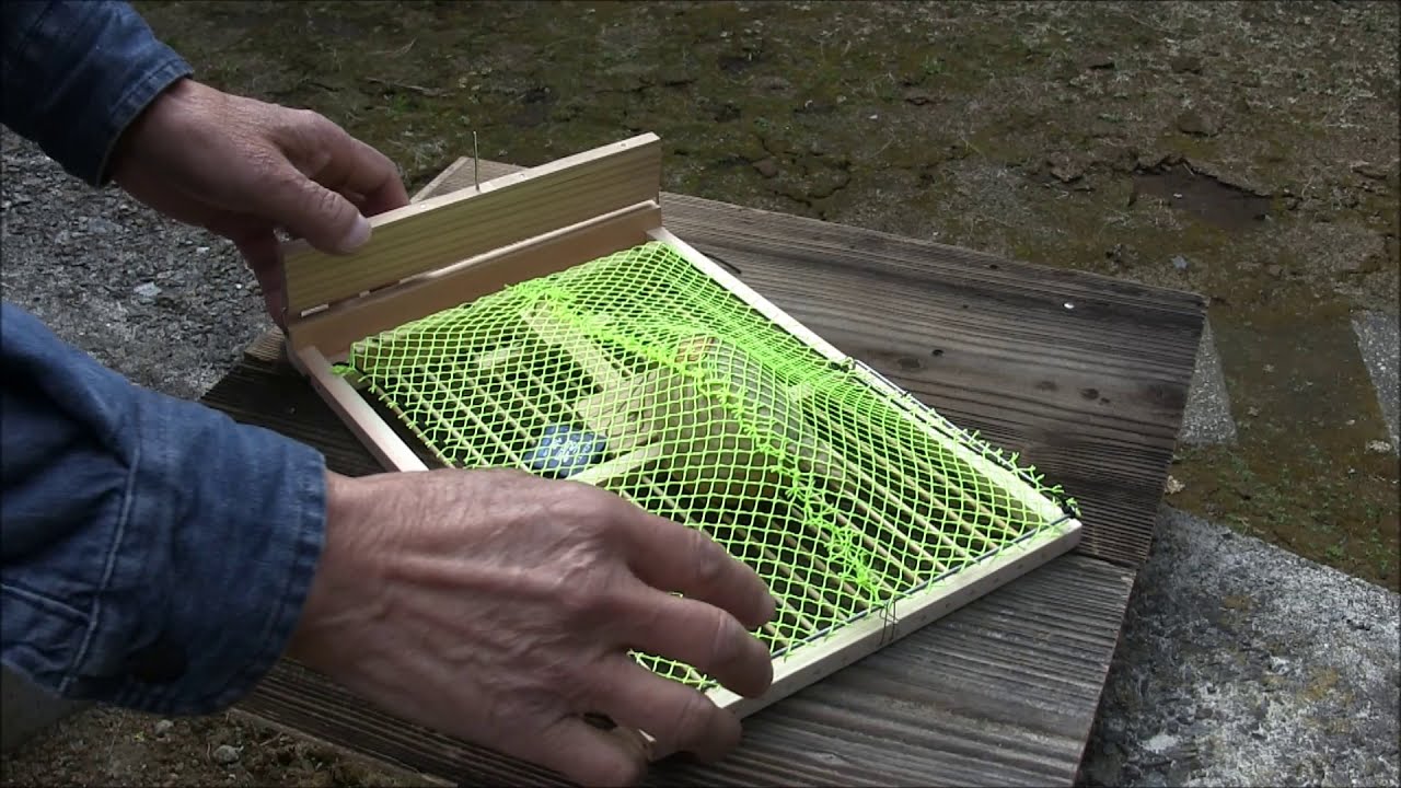 ネット式バードトラップ11型・Cover with a net bird trap