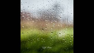 JLMS - Soft Rain screenshot 3