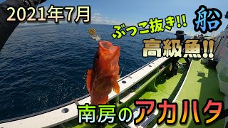 船釣りアカハタ 7月 赤い魚は高級魚 アカハタどんどこ Youtube