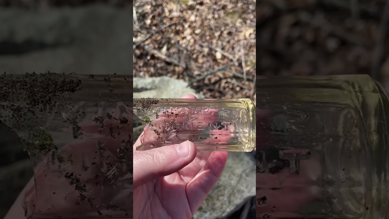 Minard’s Liniment | Old medicine bottle’s of the Maritimes 
