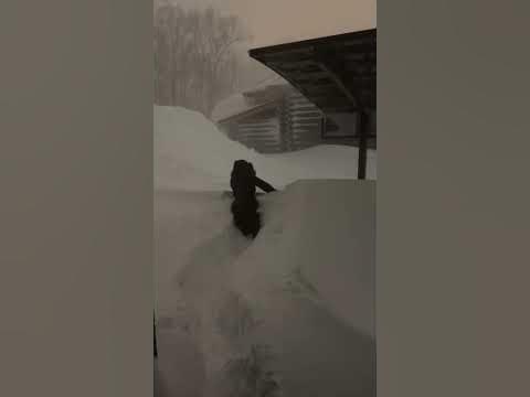 Сильнейший снегопад на Сахалине #сахалин #снегопад #непогода # ...