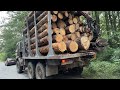 📍 Дніпровсько Тетерівське лісокрадське господарство  🪵 🤠 #Піймали на дорозі та затримали лісокрад