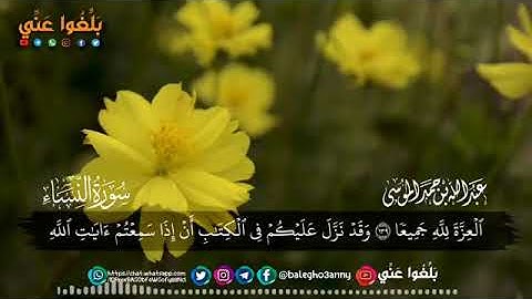 ﴿بَشِّر المنافقين بأن لهم عذابًا أليمًا﴾ تلاوة جميلة للقارئ عبدالله الموسى _ ما تيسر من سورة النساء