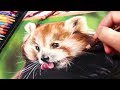 HOW TO DRAW WITH PASTELS - Realistic Animal Drawing Tutorial