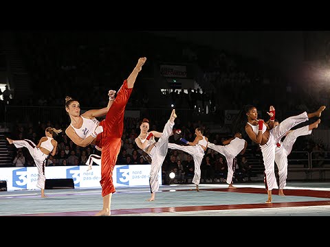 Body Karate at the 2015 North Europe Martial Arts Festival
