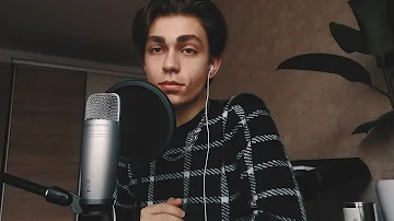 Taylor Swift - Lover (Remix) ft. Shawn Mendes | cover by Denis Kalytovskyi