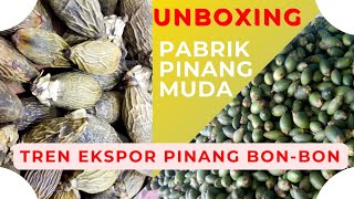 Unboxing Pabrik Pinang Muda
