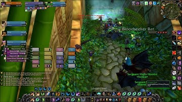 Lightbringer - Zul Gurub with Pugs