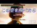 加藤登紀子(Tokiko Kato)/この空を飛べたら”If I Could Fly ”(Kono Sora o Tobetara)/Like Tokiko/Cover
