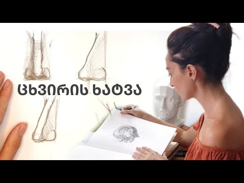 როგორ დახატო ცხვირი?|| სახის ნაკვთები|| სახე || პორტრეტი||how to draw a nose