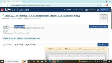 Excel 2021 In Practice - Chapter 10 Independent Project 10-6 (Windows Only)SIMnet Project Help Guide