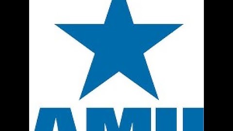 Week 4 - Sensitivity Analysis in Capital Budgeting - Isaac