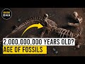 The Science of Fossil Dating Methods and Their Impact on Archaeology