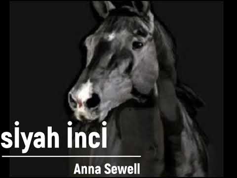 Siyah İnci - Anna Sewell - (Sesli Kitap) Selda ÖZGER