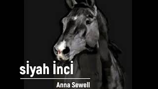 Siyah İnci - Anna Sewell - Sesli Kitap Seslendiren Selda Öztürk