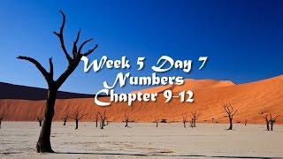 Audio Bible Reading Plan - Week 5 Day 7 (Numbers 9-12)