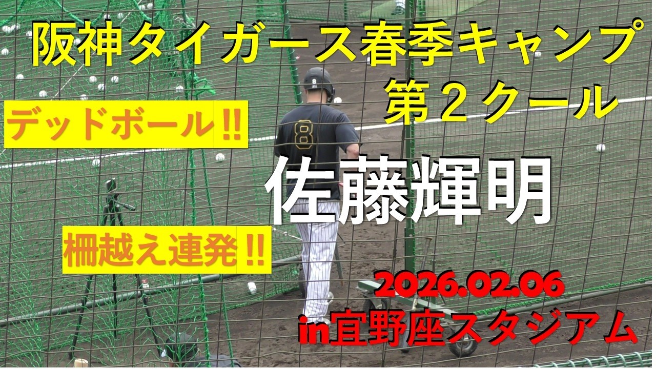 佐藤輝明デッドボール‼柵越え連発‼阪神タイガース春季キャンプ‼in