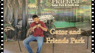 Alligator and Friends; Adventures in the Swamp