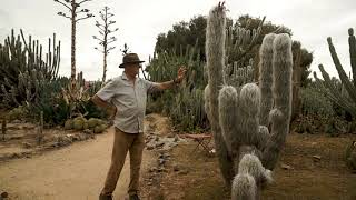 Cactus Country Guided Tour with Jim Hall