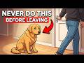 Your Dog Cries When You Leave – Here's The Real Reason That Will Break You