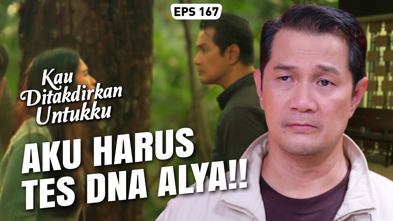 CARI PEMBUKTIAN😏 Wildan Ingin Tes DNA Alya & Dara😱 | KAU DITAKDIRKAN UNTUKKU | EPS.167 (3/3)
