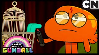 Suç | Gumball Türkçe | Çizgi film | Cartoon Network Türkiye