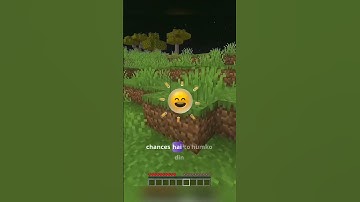 if I see scary moon the video ends | minecraft horror 😱