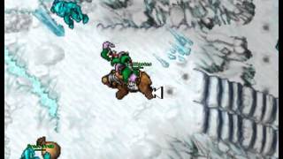 Tibia boss crystal spider & ice golem Shivera